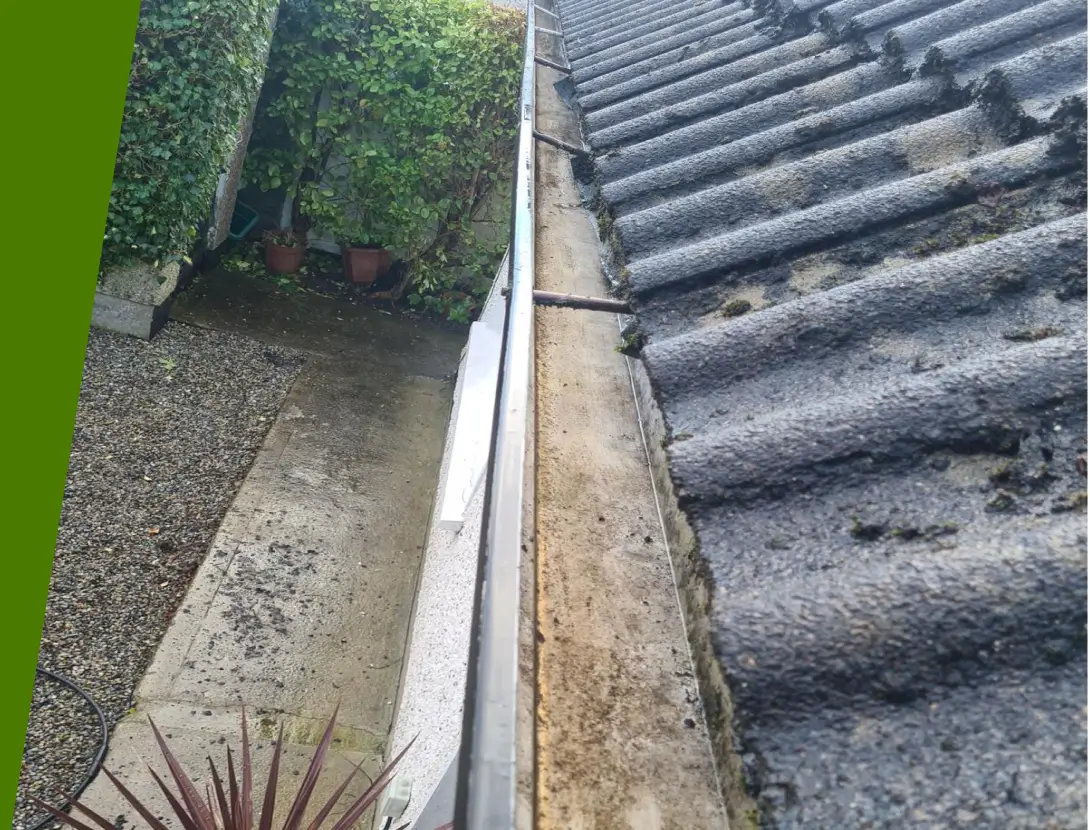 Paul's Property Maintenance - Gutter cleaning