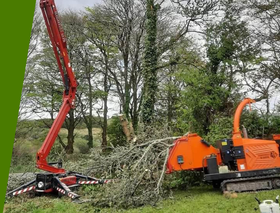 Paul's Property Maintenance - Tree surgery